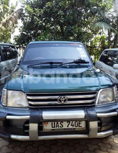 Big with watermark 20246301 486517841689715 4250919723230395693 n