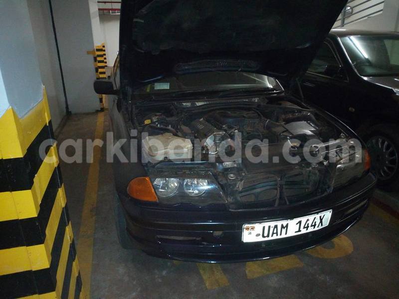 Big with watermark 20479939 1551756324844419 7136113544360508564 n