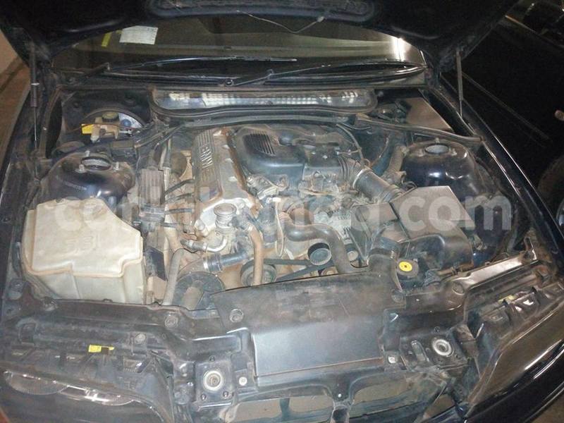 Big with watermark 20525648 1551756241511094 7725565934899935880 n