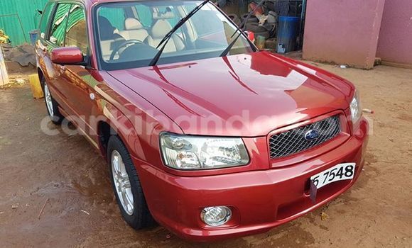 Buy Used Subaru Forester Other Car in Busia in Uganda Buy Used Subaru Forester Other Car in Busia in Uganda