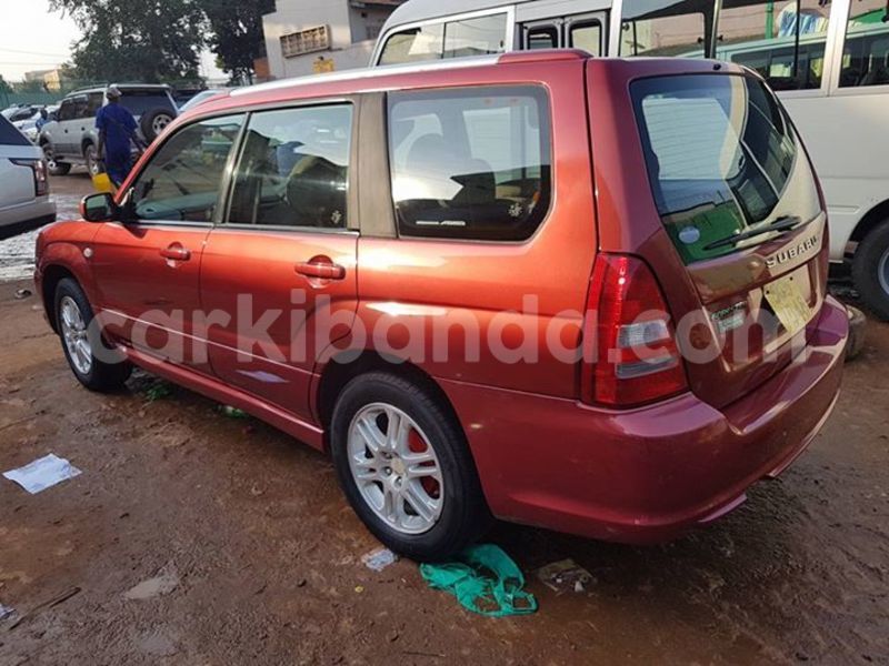 Big with watermark 20507624 10213595147931456 271286368842879963 o