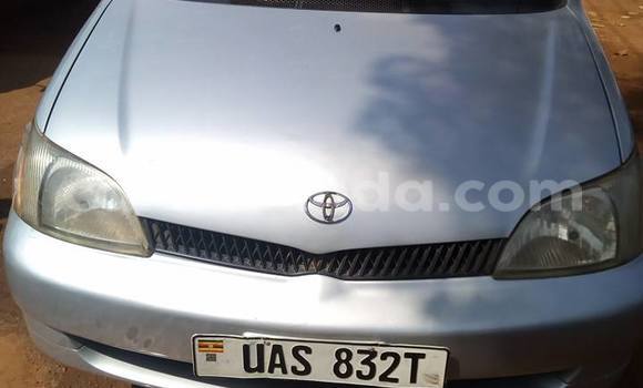 Buy Used Toyota Platz Silver Car in Busia in Uganda Buy Used Toyota Platz Silver Car in Busia in Uganda