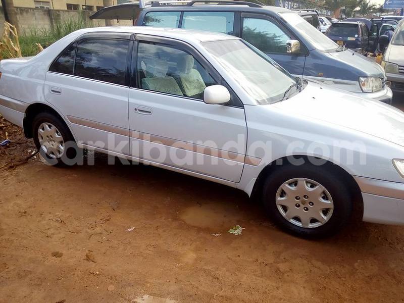 Big with watermark 20507624 10213595147931456 271286368842879963 o