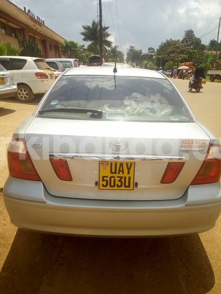 Big with watermark 20479507 643121139217956 6135447249838749121 n