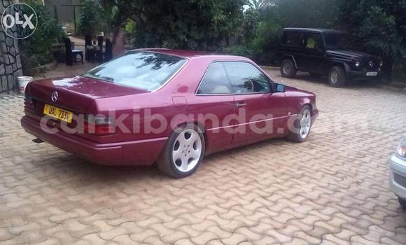Buy Used Mercedes‒Benz E–Class Red Car in Arua in Uganda