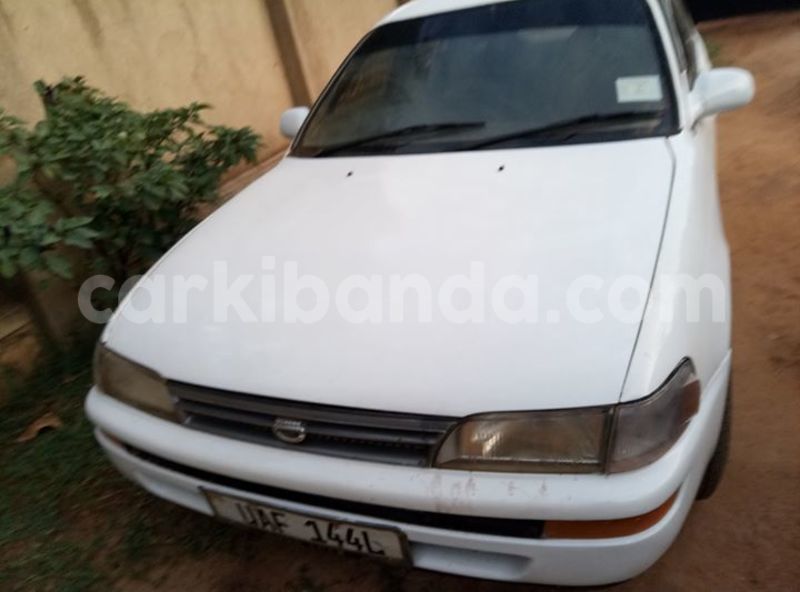 Big with watermark 20507624 10213595147931456 271286368842879963 o