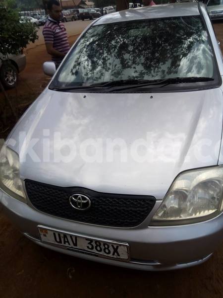 Big with watermark 18952779 709237862582138 3608237861038673941 n