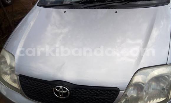 Buy Used Toyota Allex Silver Car in Busia in Uganda Buy Used Toyota Allex Silver Car in Busia in Uganda