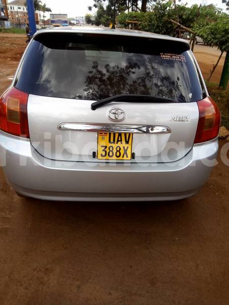 Big with watermark 19030650 709237865915471 5780759566154516871 n