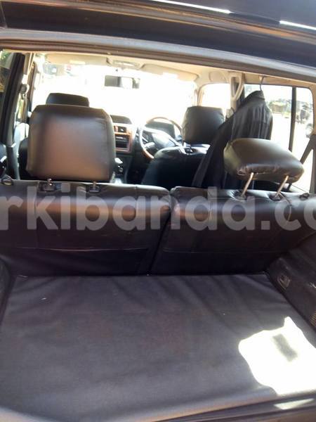 Big with watermark 19030339 709237869248804 8378660185752961642 n