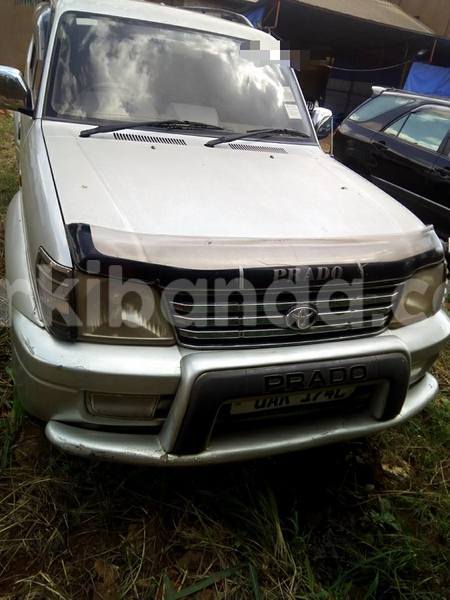 Big with watermark 18952779 709237862582138 3608237861038673941 n