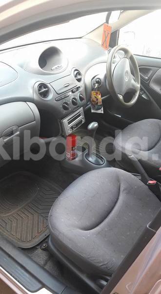 Big with watermark 19030339 709237869248804 8378660185752961642 n