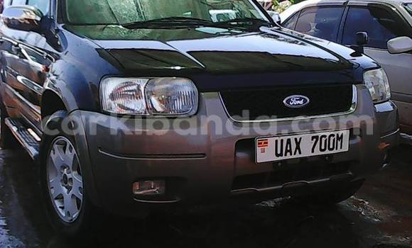 Buy Used Ford Escape Blue Car in Arua in Uganda