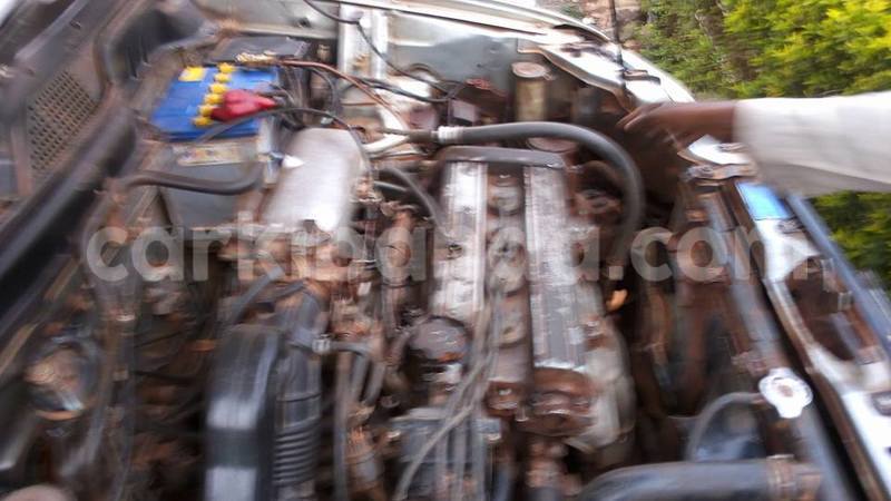 Big with watermark 19030339 709237869248804 8378660185752961642 n