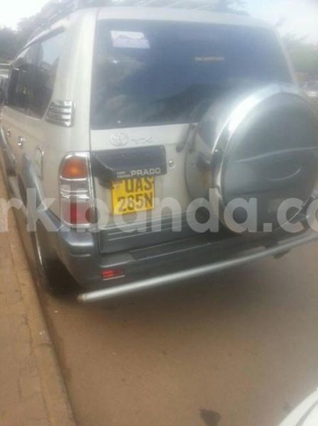 Big with watermark 18952779 709237862582138 3608237861038673941 n