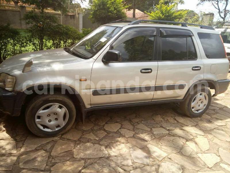 Big with watermark 18952779 709237862582138 3608237861038673941 n