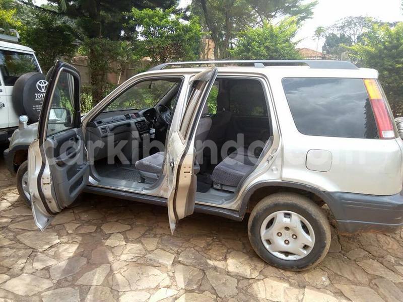 Big with watermark 18954797 10109901822210850 5806381462207131836 o