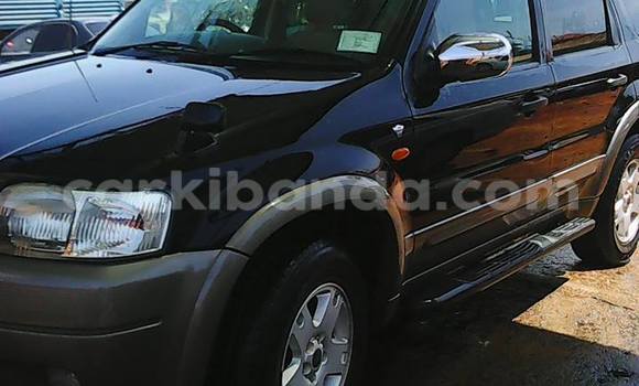 Acheter Occasion Voiture Ford Escape Bleu à Arua, Ouganda Acheter Occasion Voiture Ford Escape Bleu à Arua, Ouganda