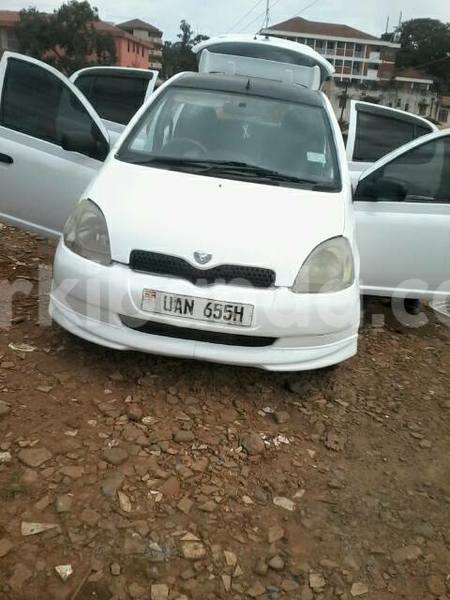 Big with watermark 19030339 709237869248804 8378660185752961642 n