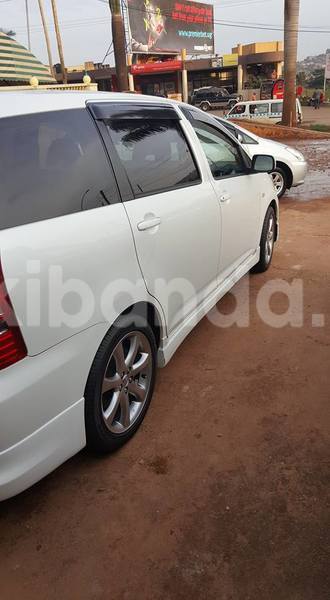 Big with watermark 18952779 709237862582138 3608237861038673941 n