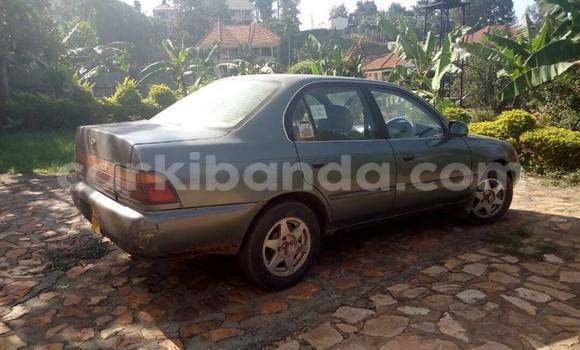 Buy Used Toyota Corolla Other Car in Busia in Uganda Buy Used Toyota Corolla Other Car in Busia in Uganda