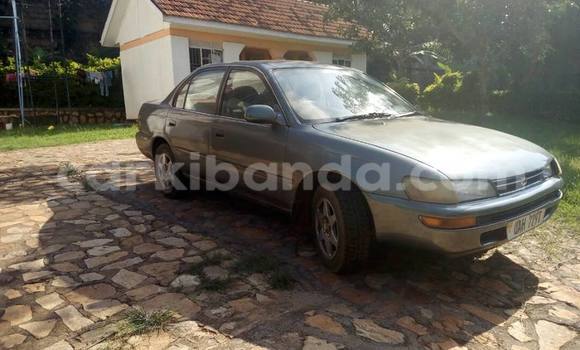 Acheter Occasion Voiture Toyota Corolla Autre à Busia, Ouganda Acheter Occasion Voiture Toyota Corolla Autre à Busia, Ouganda