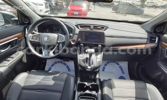 Buy Import Honda C Other Bike in Import - Dubai in Uganda Buy Import Honda C Other Bike in Import - Dubai in Uganda