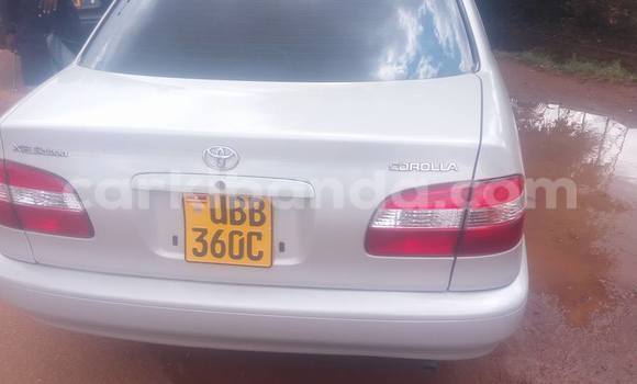 Buy Used Toyota Corolla Silver Car in Busia in Uganda Buy Used Toyota Corolla Silver Car in Busia in Uganda