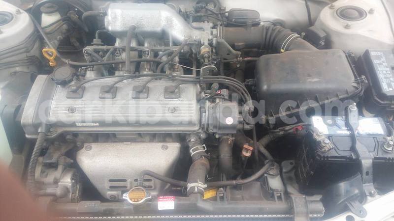 Big with watermark 18954797 10109901822210850 5806381462207131836 o