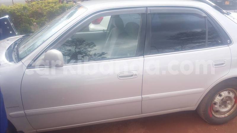 Big with watermark 19030339 709237869248804 8378660185752961642 n