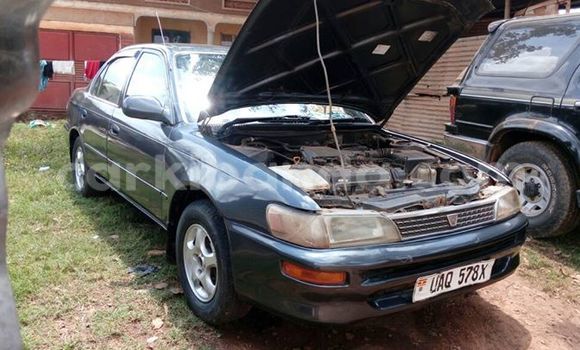 Buy Used Toyota Corolla Black Car in Busia in Uganda Buy Used Toyota Corolla Black Car in Busia in Uganda
