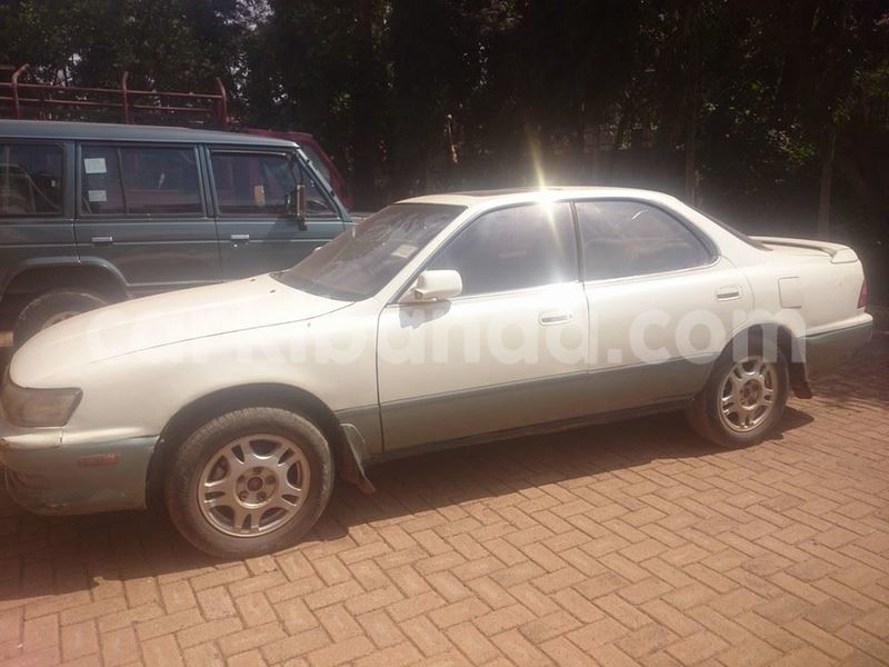 Big with watermark 18954797 10109901822210850 5806381462207131836 o