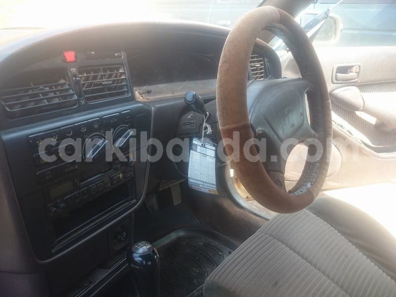 Big with watermark 19030339 709237869248804 8378660185752961642 n