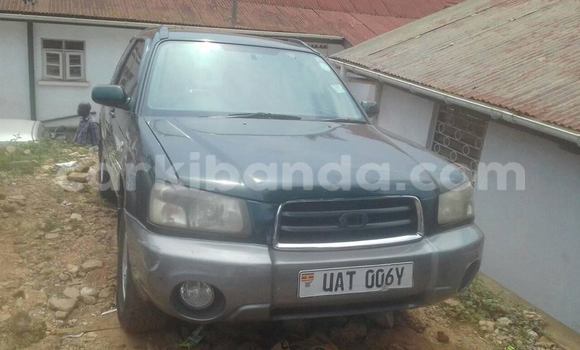 Buy Used Subaru Forester Other Car in Busia in Uganda Buy Used Subaru Forester Other Car in Busia in Uganda