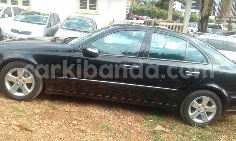 Big with watermark 18954797 10109901822210850 5806381462207131836 o