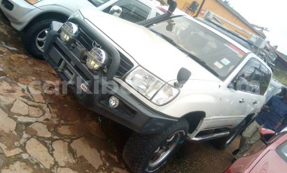 Buy Used Toyota Land Cruiser White Car in Kampala in Uganda Buy Used Toyota Land Cruiser White Car in Kampala in Uganda
