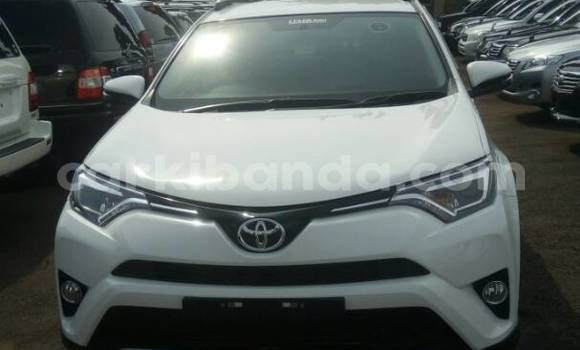 Buy Used Toyota RAV4 White Car in Kampala in Uganda Buy Used Toyota RAV4 White Car in Kampala in Uganda