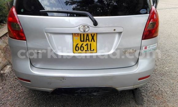 Buy Used Toyota Spacio Silver Car in Busia in Uganda Buy Used Toyota Spacio Silver Car in Busia in Uganda