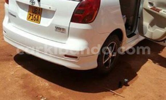 Buy Used Toyota Spacio White Car in Busia in Uganda Buy Used Toyota Spacio White Car in Busia in Uganda