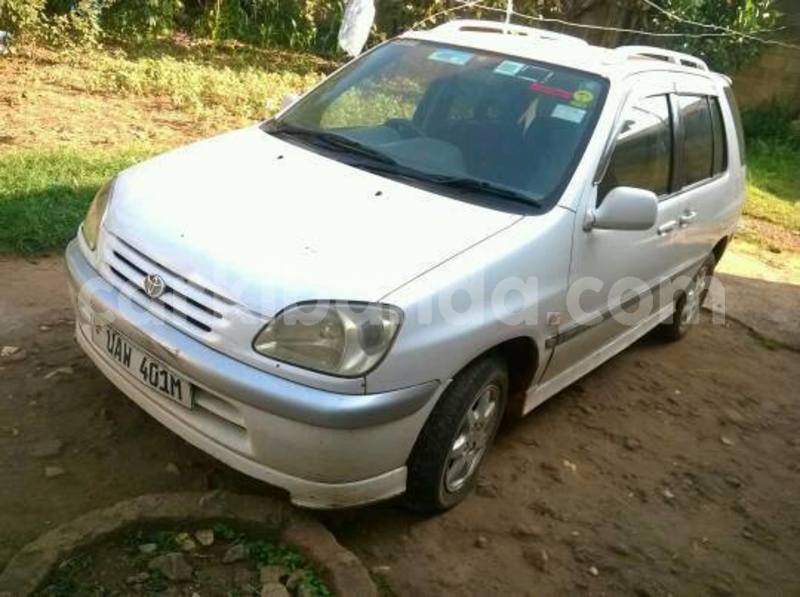 Big with watermark 18952779 709237862582138 3608237861038673941 n