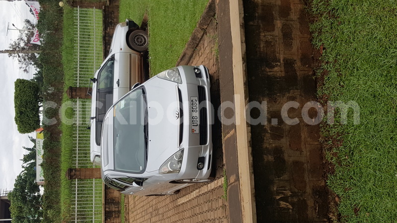 Big with watermark 20170904 104716