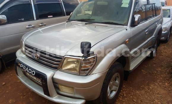 Buy Used Toyota Prado Silver Car in Kampala in Uganda Buy Used Toyota Prado Silver Car in Kampala in Uganda