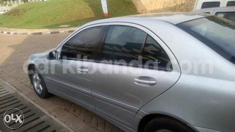 Big with watermark temp1