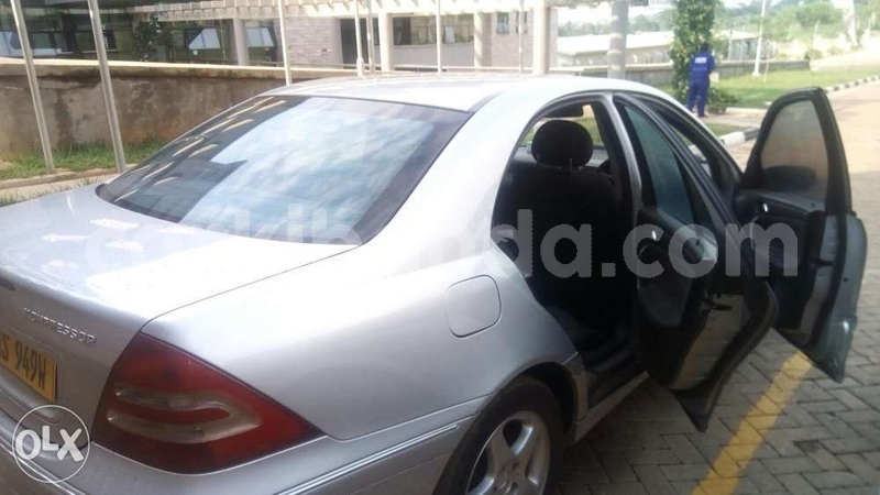 Big with watermark temp3