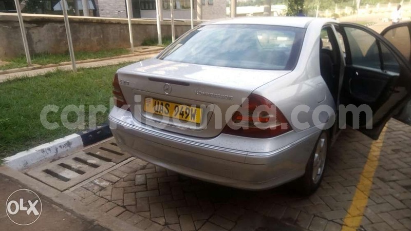 Big with watermark temp7