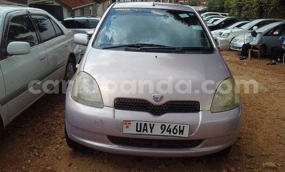 Buy Used Toyota Vitz Other Car in Busia in Uganda Buy Used Toyota Vitz Other Car in Busia in Uganda