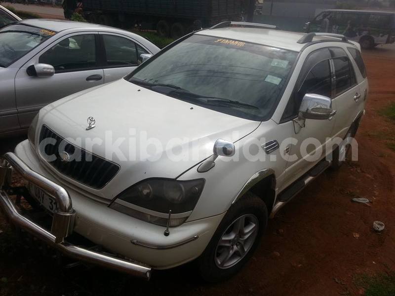 Big with watermark 18952779 709237862582138 3608237861038673941 n