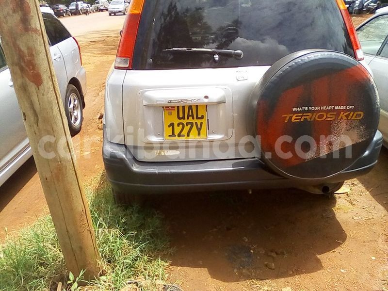 Big with watermark 18952779 709237862582138 3608237861038673941 n