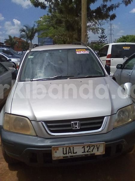 Big with watermark 18954797 10109901822210850 5806381462207131836 o