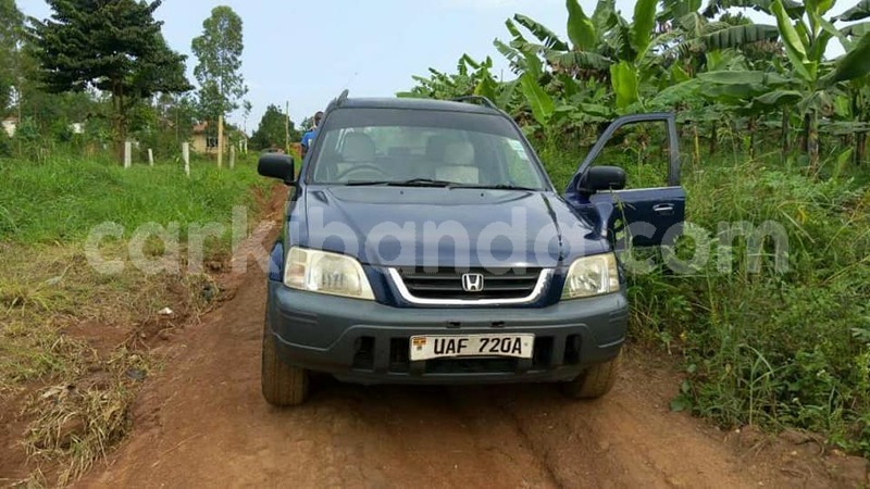 Big with watermark 18952779 709237862582138 3608237861038673941 n